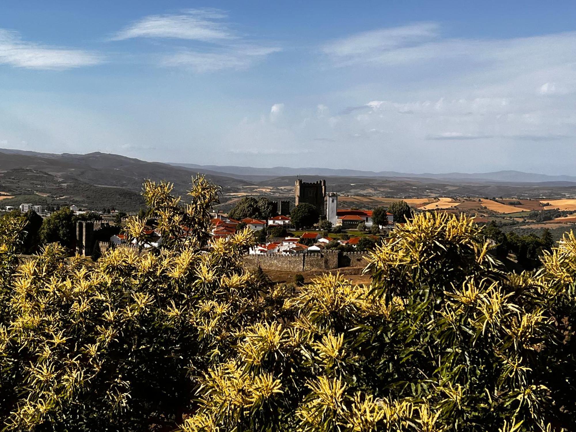 Casa Flipe - C Daire Bragança Dış mekan fotoğraf